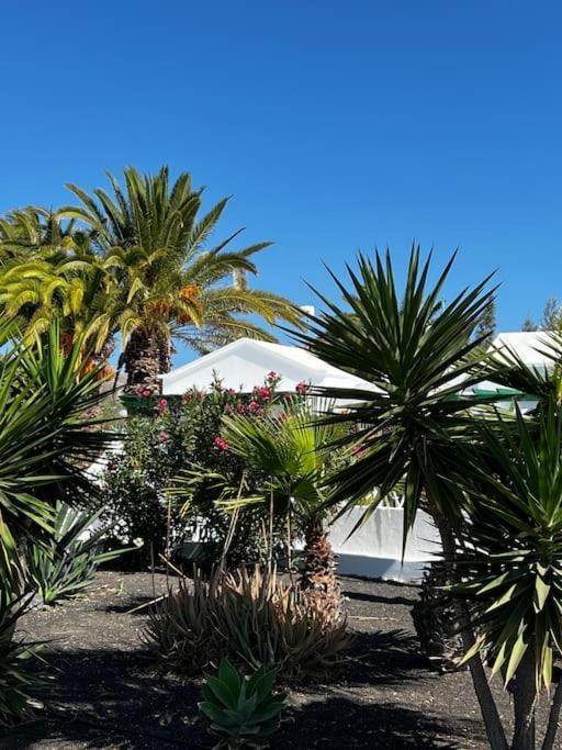 Lovely Casita Jade Playa Blanca  Exteriör bild